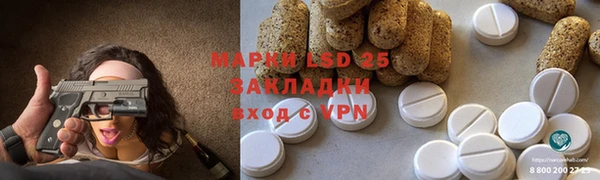 прущие грибы Абинск