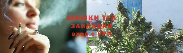 прущие грибы Абинск