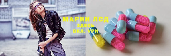 прущие грибы Абинск