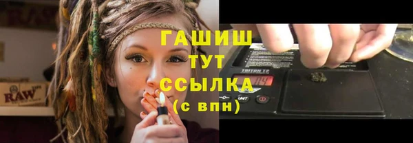 прущие грибы Абинск