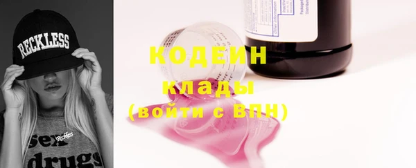 прущие грибы Абинск