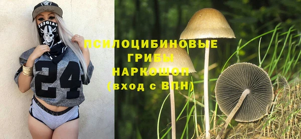 прущие грибы Абинск