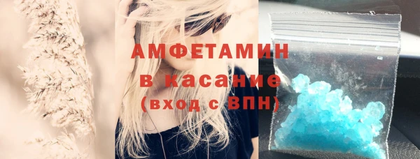 прущие грибы Абинск