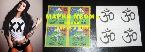прущие грибы Абинск