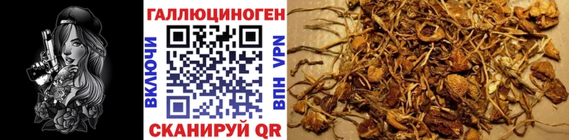 blacksprut ссылка  Ужур  Галлюциногенные грибы ЛСД 